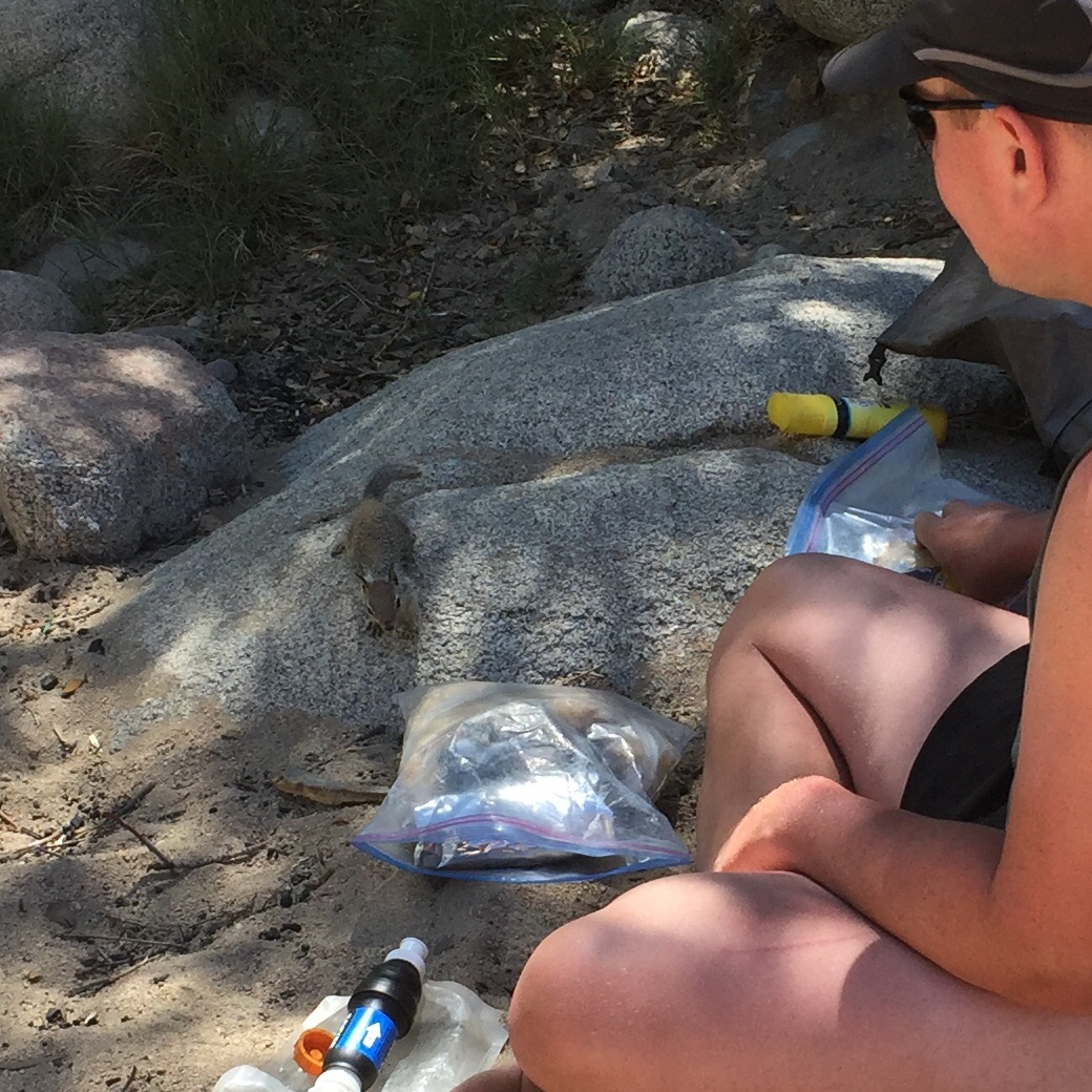 092662E3-EFAB-4BE8-AFE7-FC3532748631