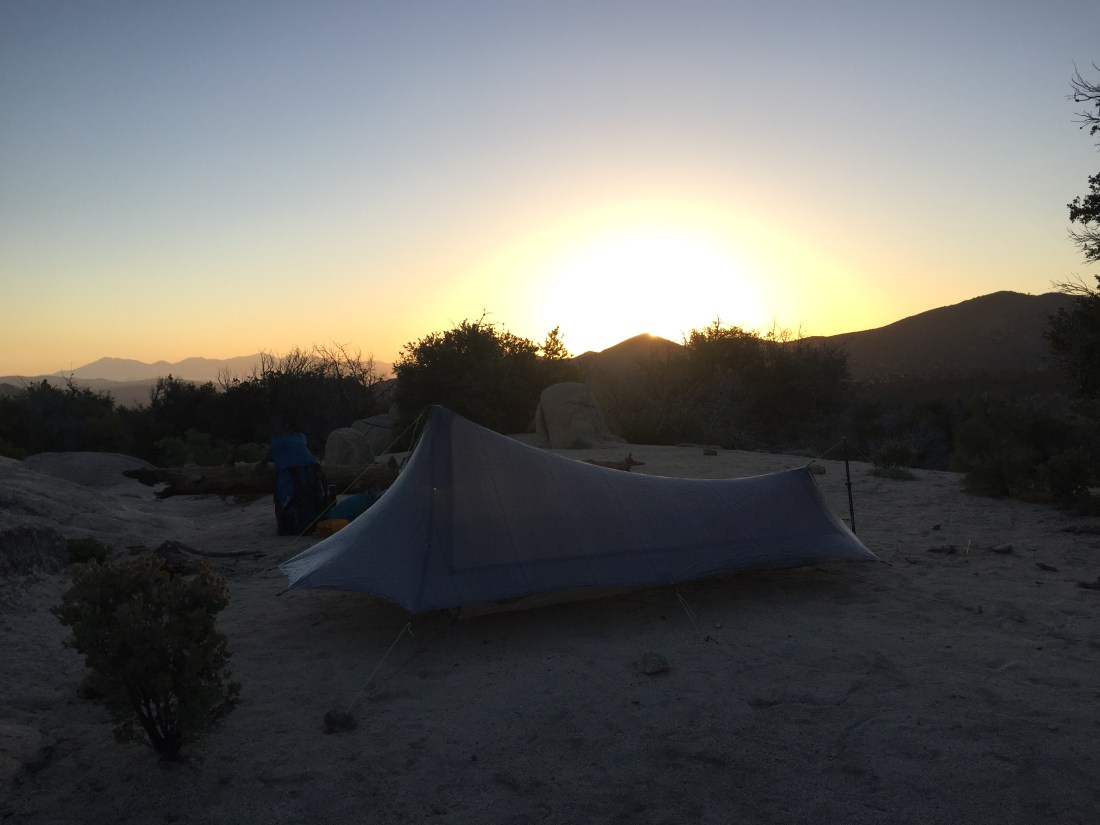 2239809F-B944-43A9-8DE3-433590E0B446