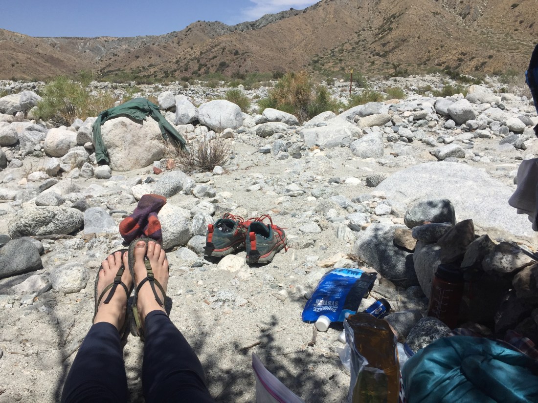 8525254C-93C7-4903-BFDD-1293CD9F2E7A