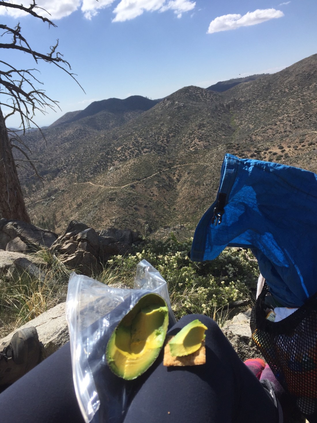 B088D86F-712E-46E7-9C67-F0F36E5255CE