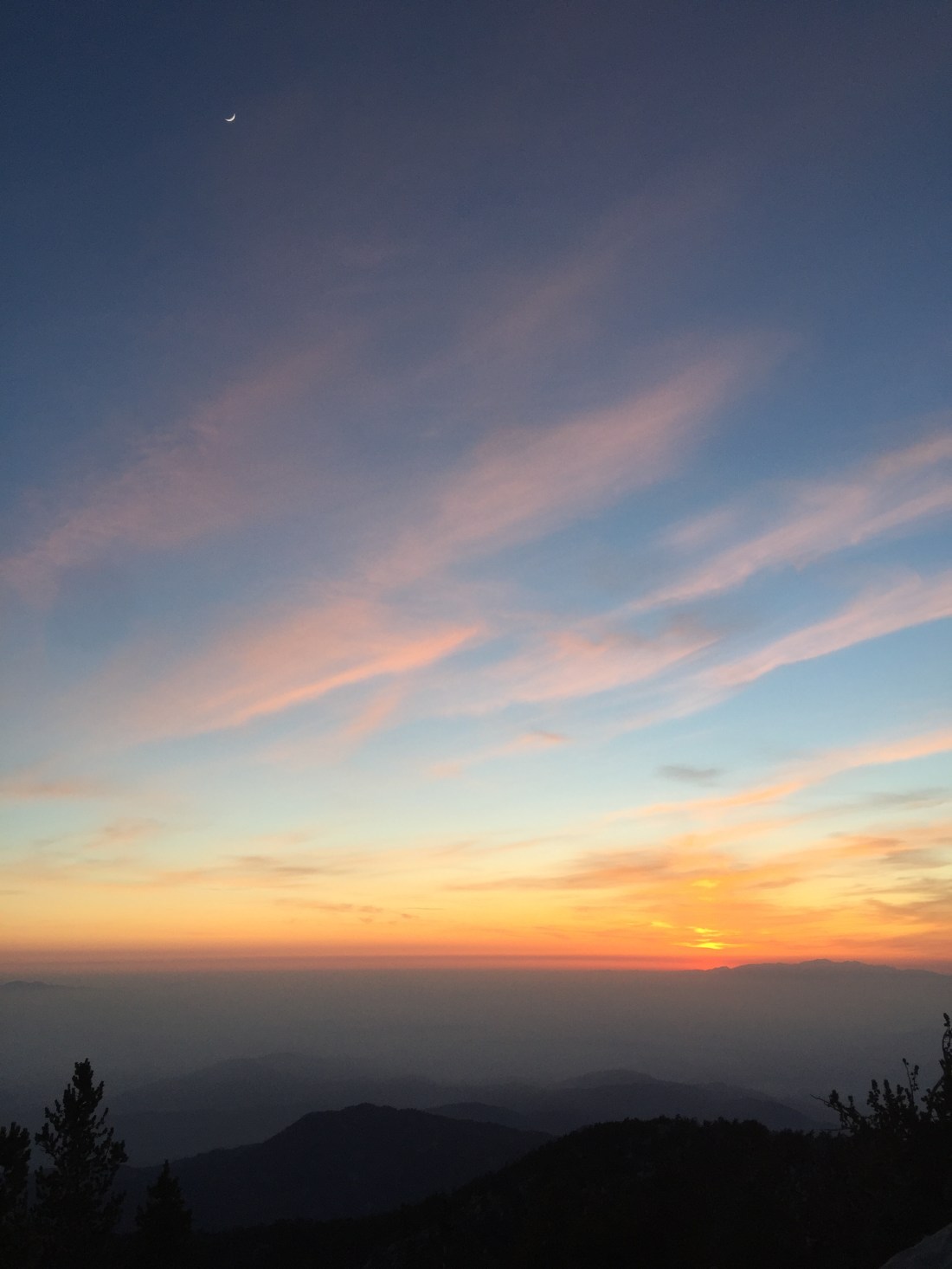 D8DA3E4D-D074-478A-877D-E2236C56D3E7