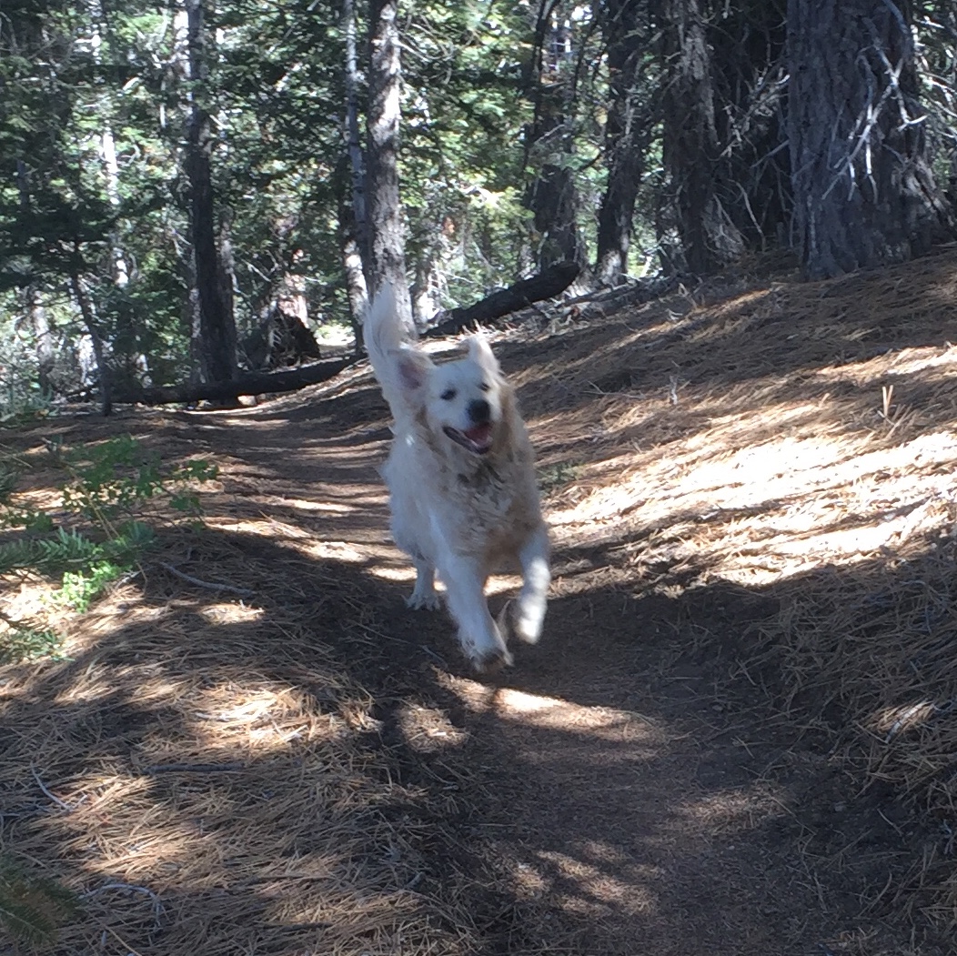 0A0D7510-CFAB-4AD1-9C1E-4B945A59DBDF