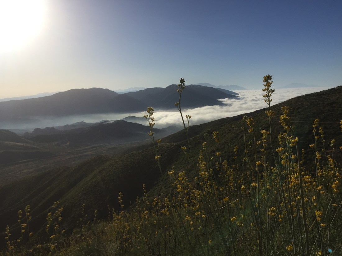 13F47818-845F-4BE0-A1CD-F7B690BC6798