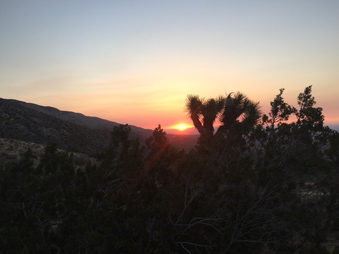 1B893BE9-C77E-4BEC-82CF-B6CA46C18340