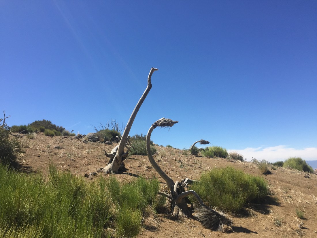 60D2B1BA-5BE3-432E-BCF2-ABAFE041D271