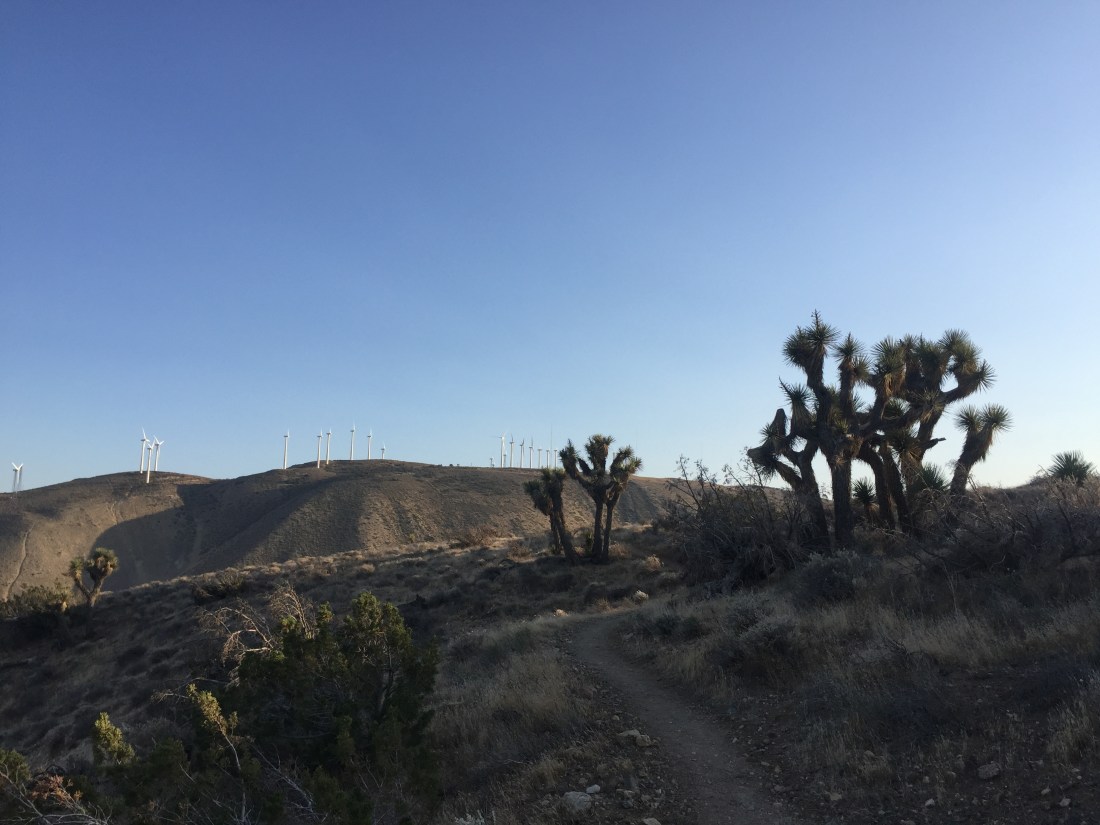 8A1B4353-CA08-4D41-A073-CBD8839038BD