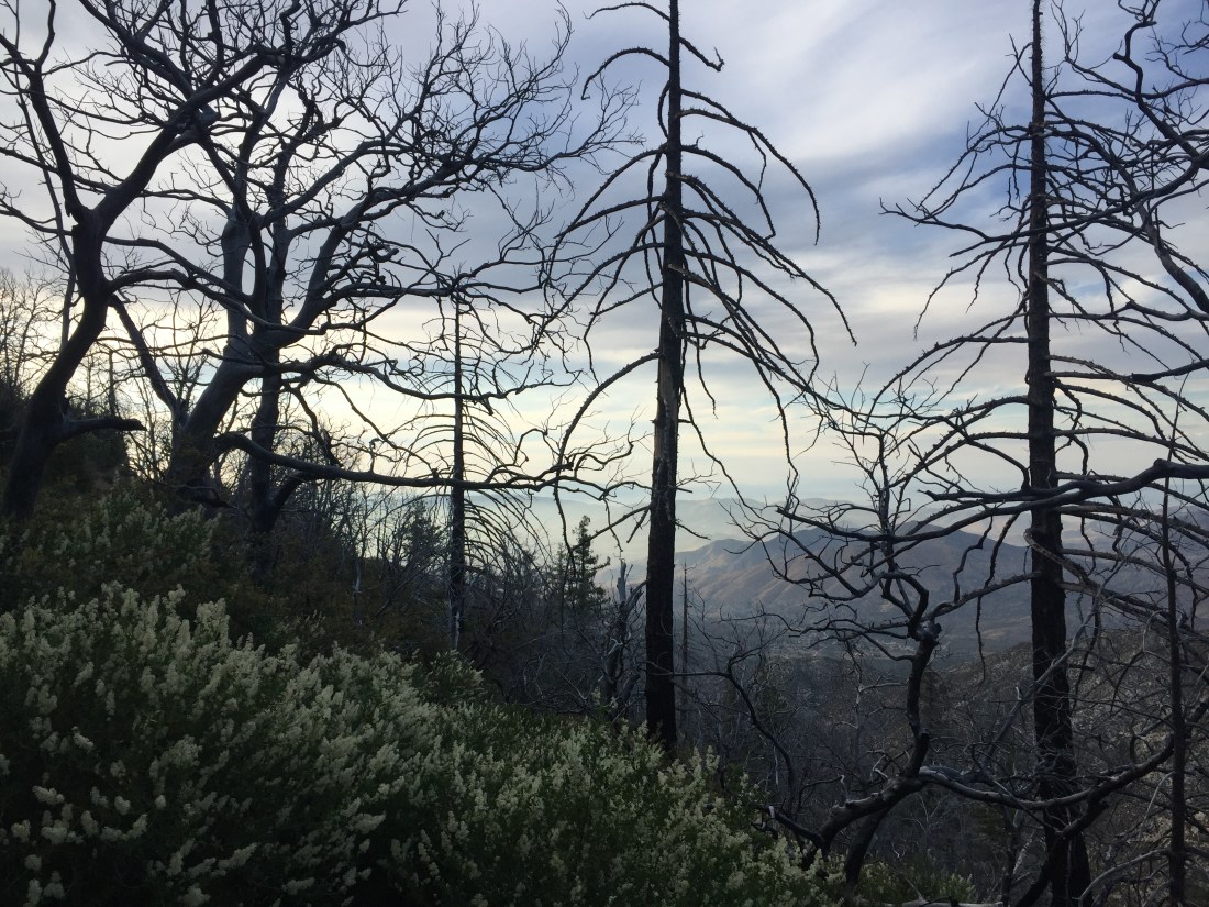 92B81369-8D27-4EFA-B199-8DDA56E7F640