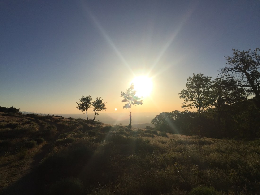 AF59BA6D-38FD-4C90-AEC3-F98A28E62DA4