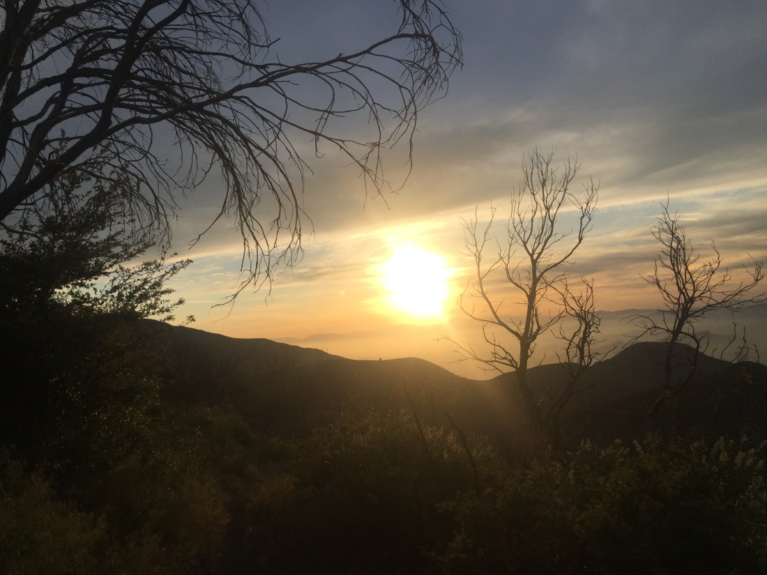 C706FC87-537A-444A-BC5D-51A393C74F71