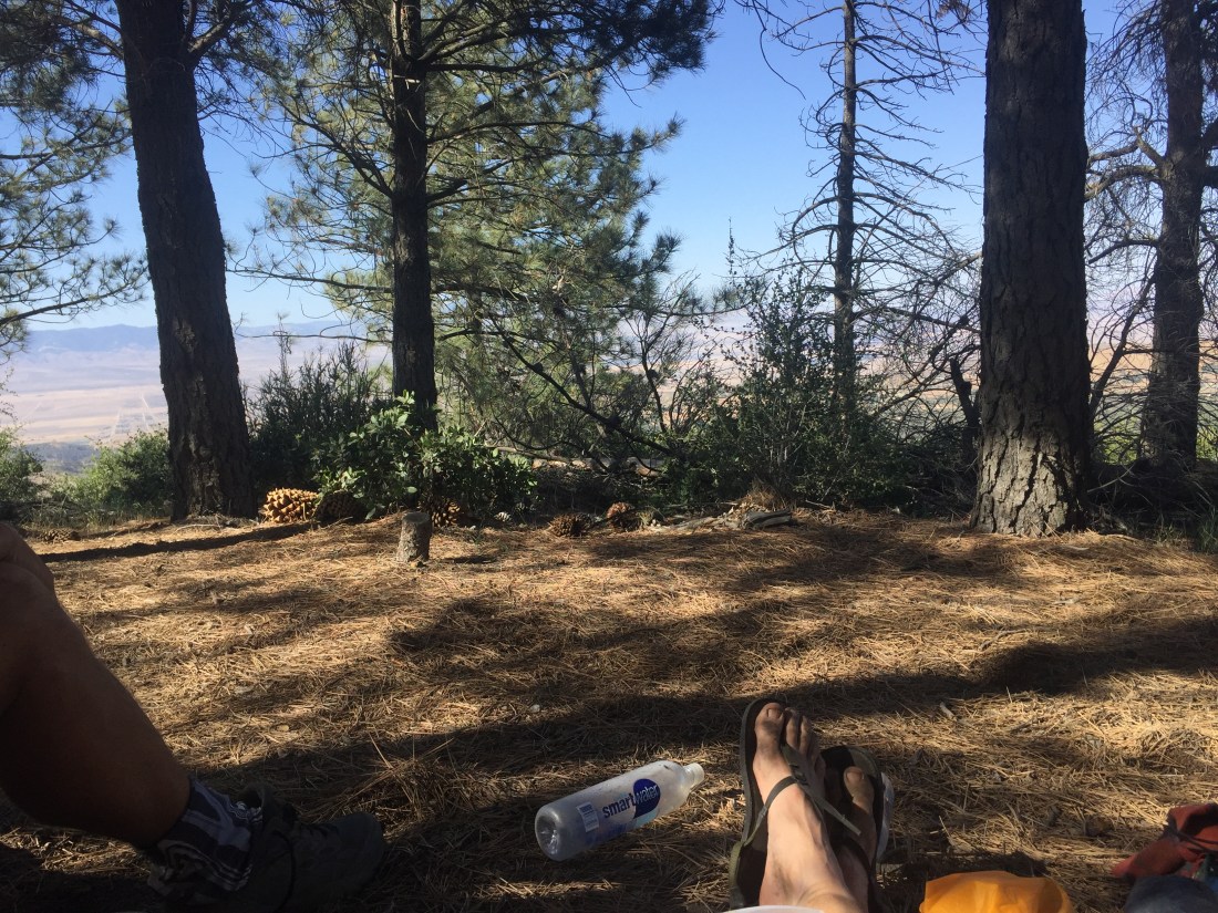 D89F4C6B-8F56-4916-A8F5-224330BEB46D