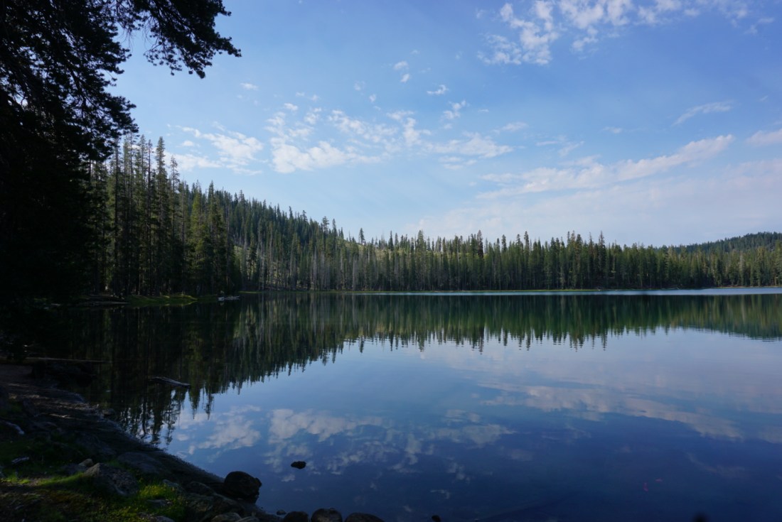 1A6FB9D1-A359-4648-BE78-8C777F1C7078