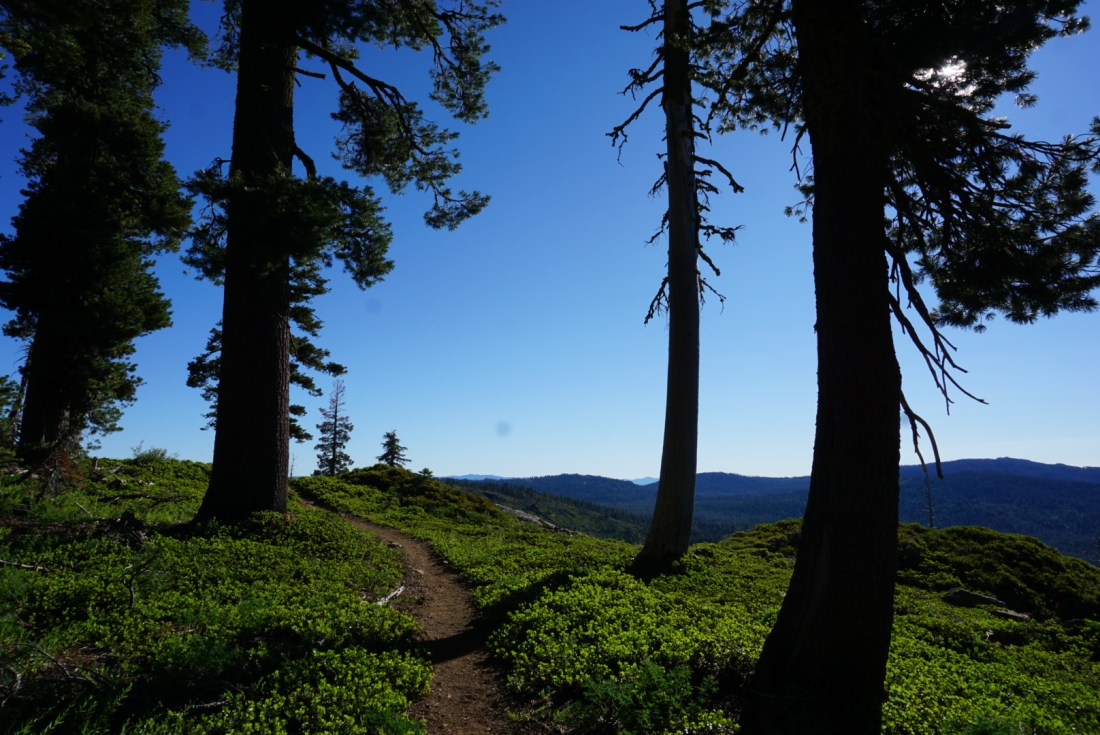 4D6161BC-8762-4EDA-939F-F86143608250