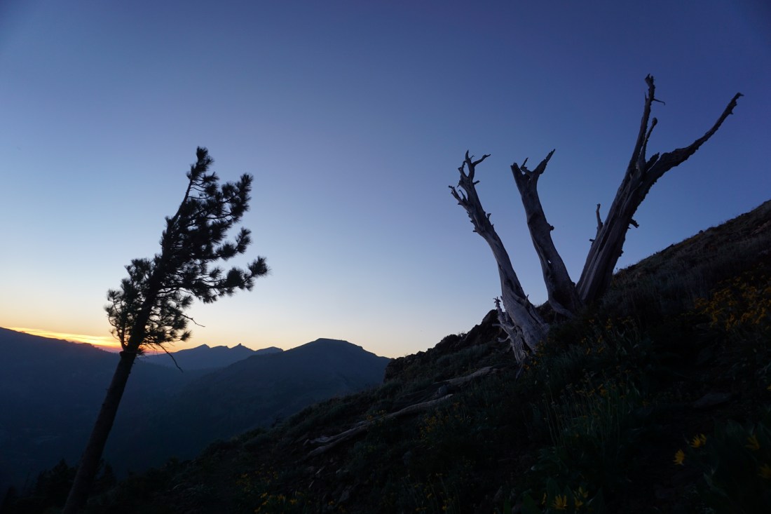 4F46D90D-4BF1-4596-9501-0B46AD63BAFF