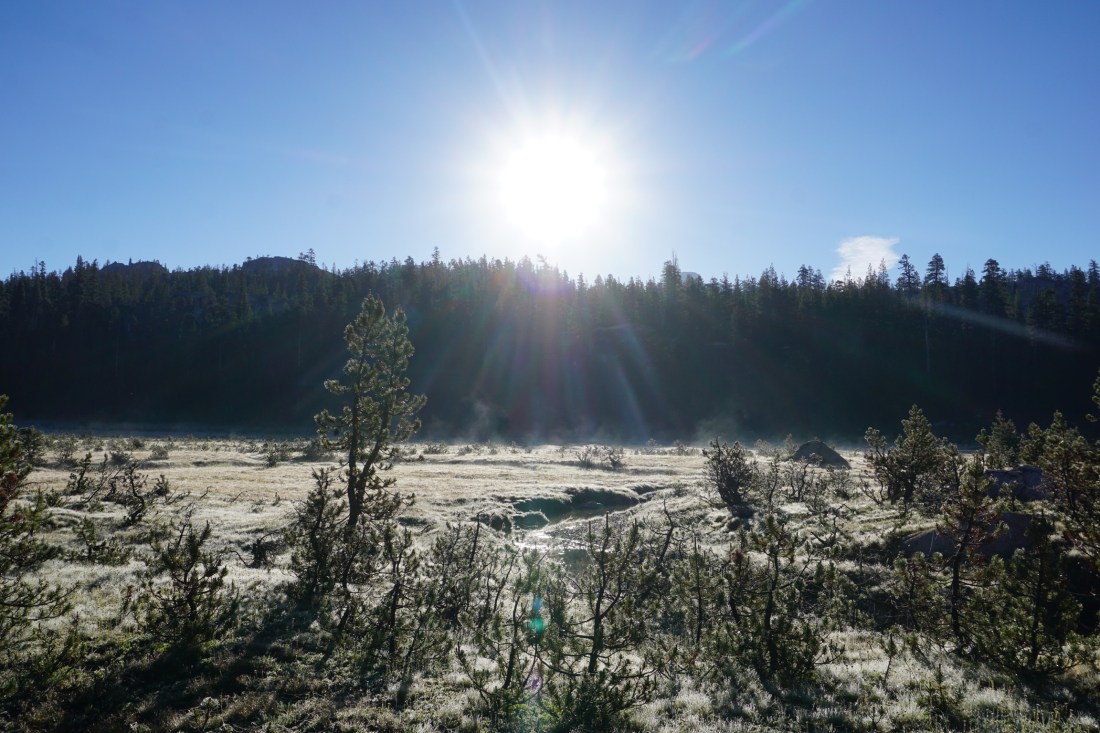 5792DD0D-94C7-4C77-9AE8-F94119121919