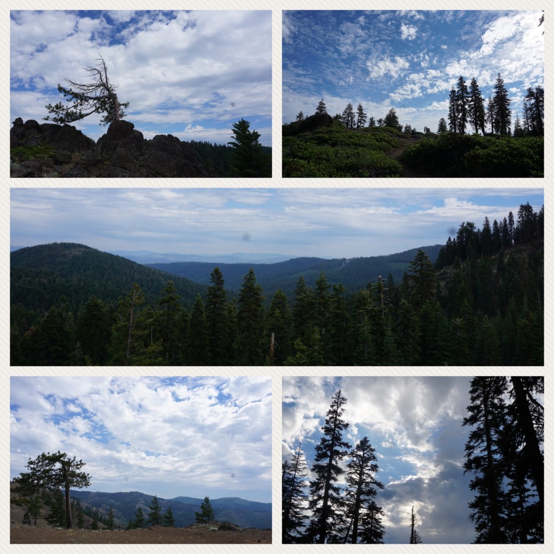 71B995F3-518B-42B6-B1B9-DDFBE3482347