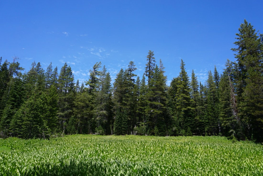 78F9267E-9411-4C9A-AFEE-BE8FF923E197