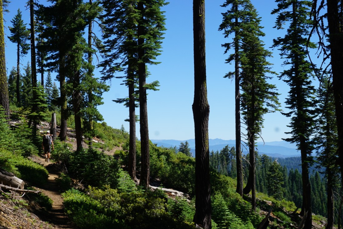 971D51B4-104A-4FA8-AB8B-7C733D1D566E