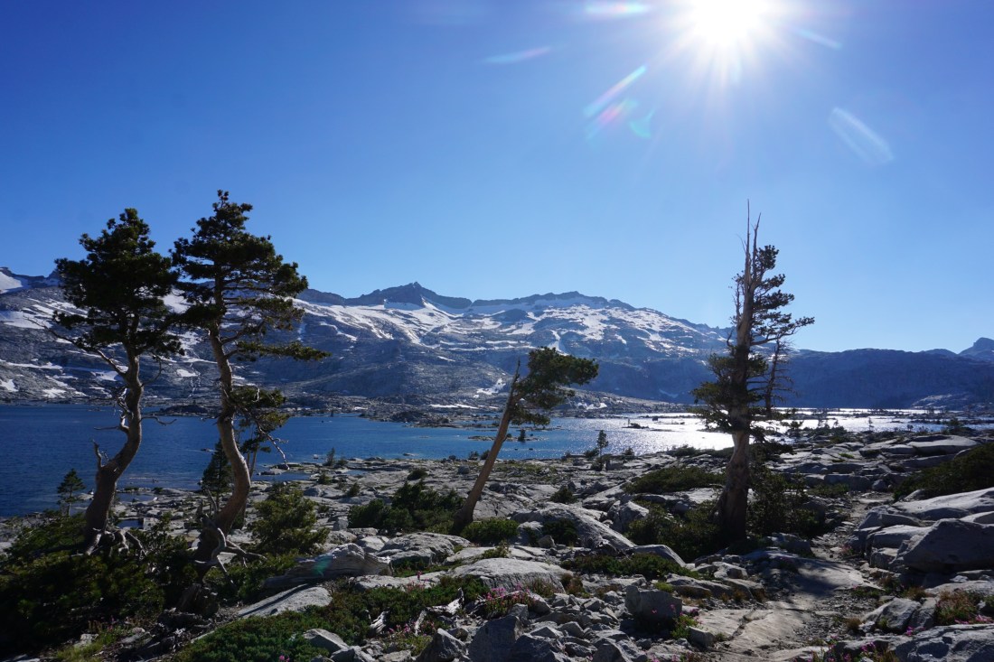 9F41A084-DC12-4DBE-BDFB-8A982EA80B18