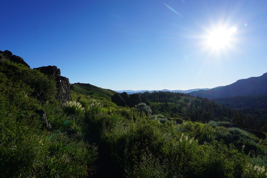 9FFD2F30-A930-479C-99EC-0D694CA41203