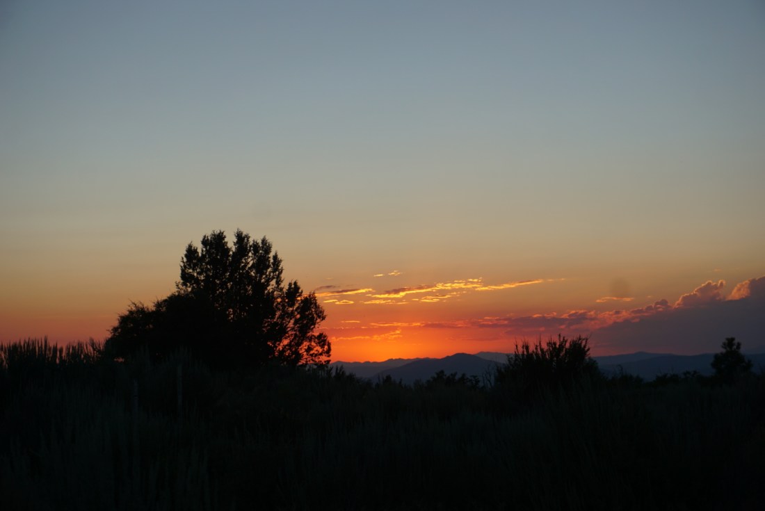 A489FE6F-D43B-4CFD-9E05-071BA71D9B09