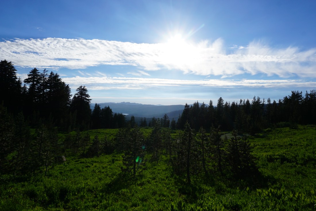 E968BBCA-6C9D-4693-BDC2-24D0BB00180A