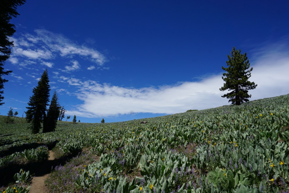 F3BA6CB1-0D8A-4258-847F-1D7E1CA029D8