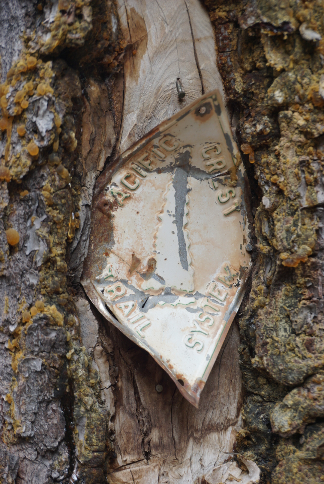 17279E67-9006-4DFE-AA53-70E22B20B3C0