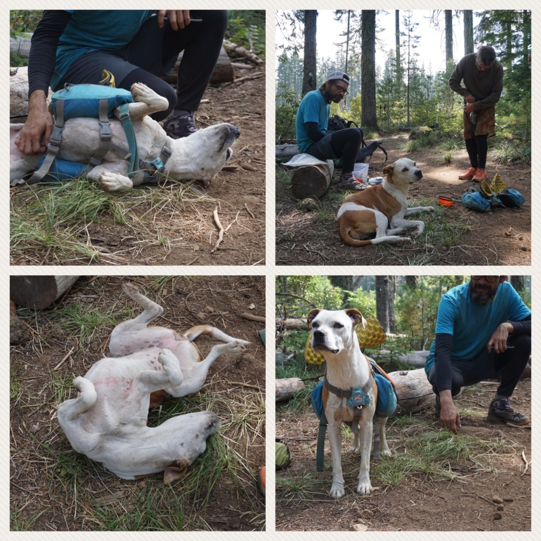 2649522A-EDE8-41EC-B1A4-91E43D8575FB