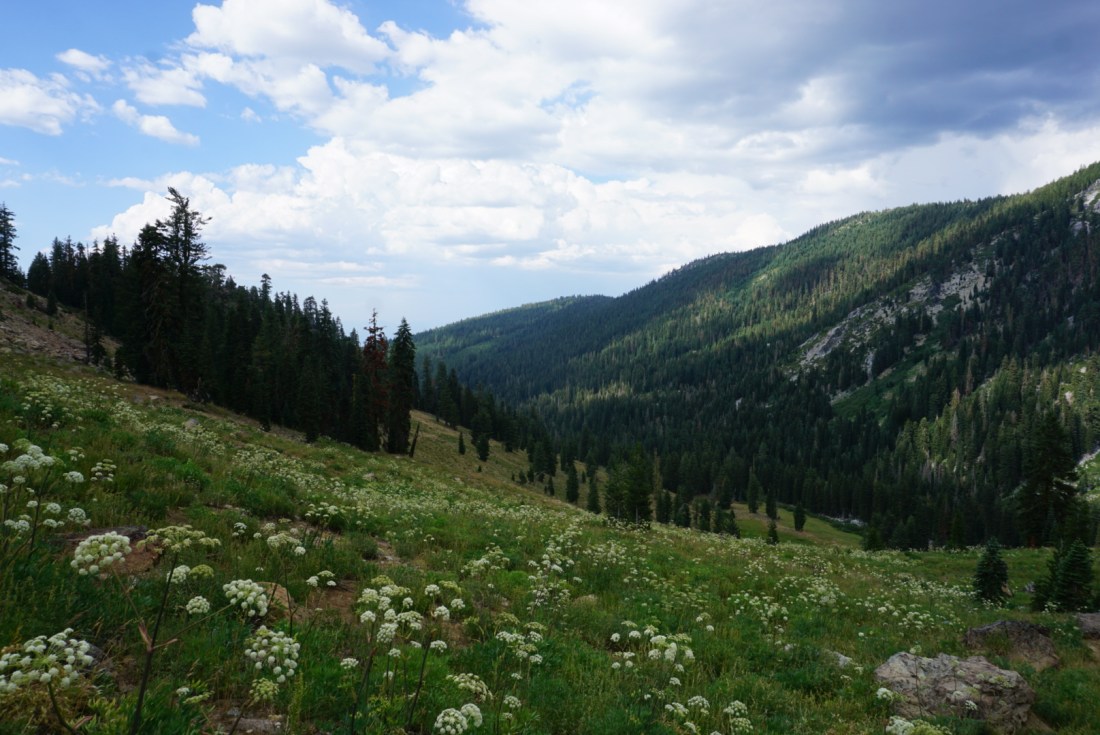 29285D4C-B38D-4BC9-99E4-93EBEC5B53F7