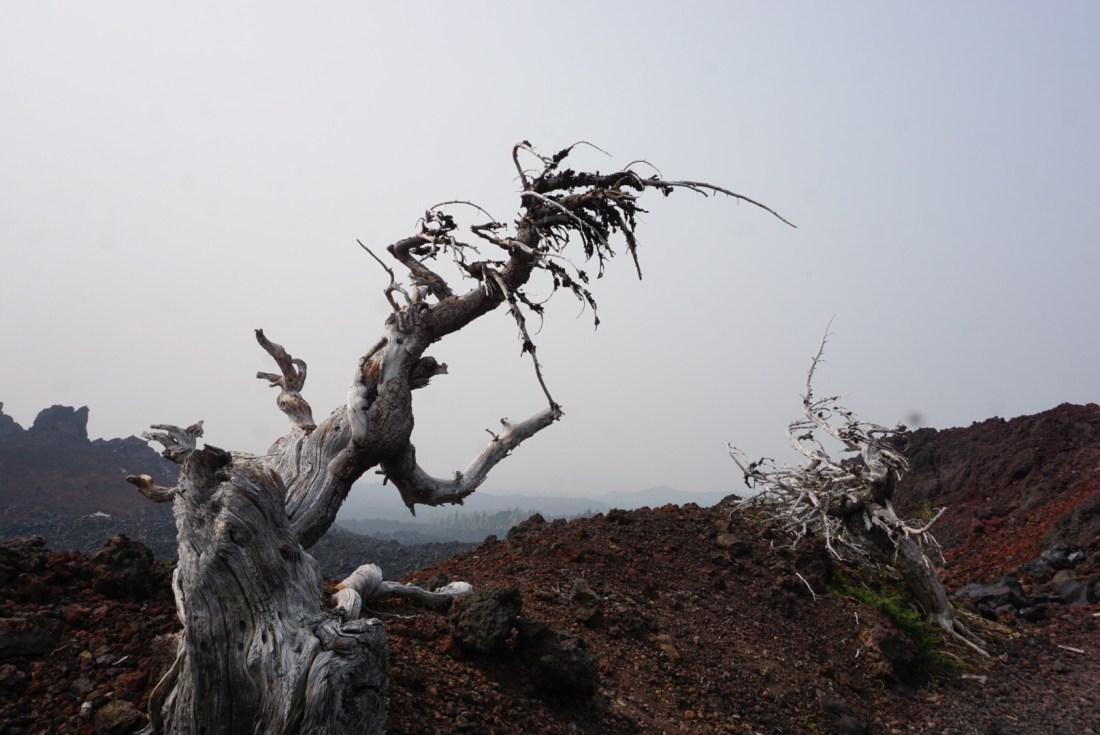 2CB612CC-AB83-4650-B4C7-A3734F977AFB