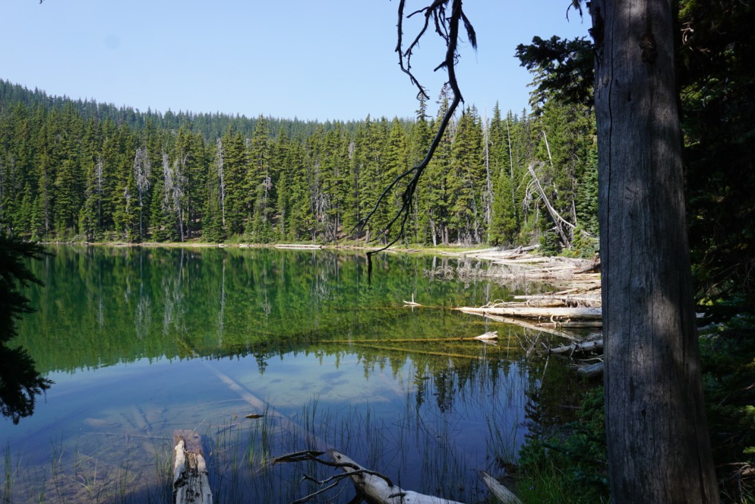 48BE1DF1-158E-4E6F-BAEC-7B77EF6084B7