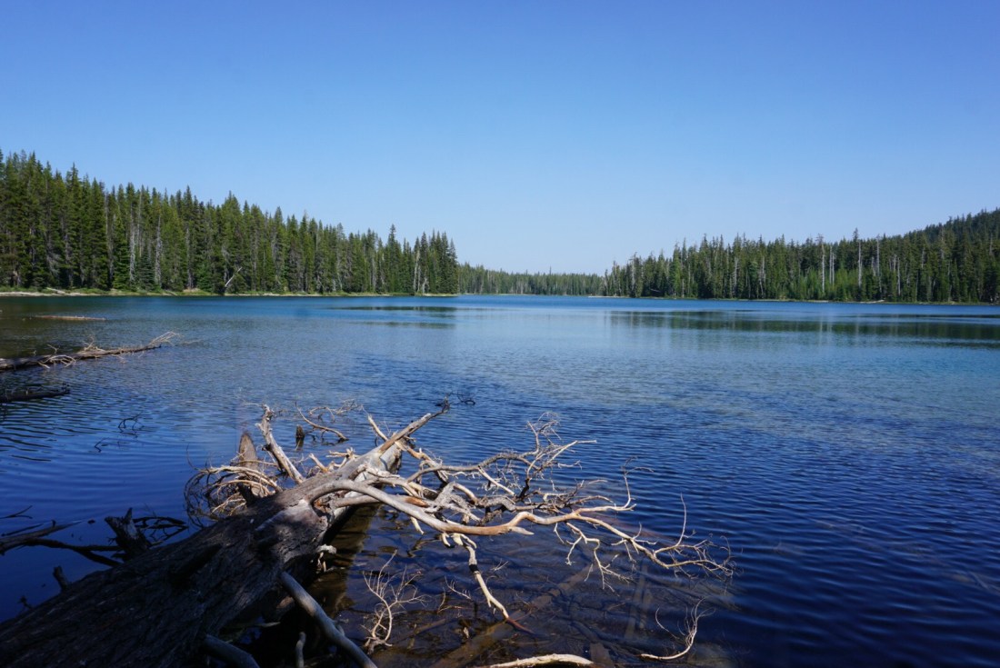 4D949524-1B76-4E6D-85C2-CA701667B8C3