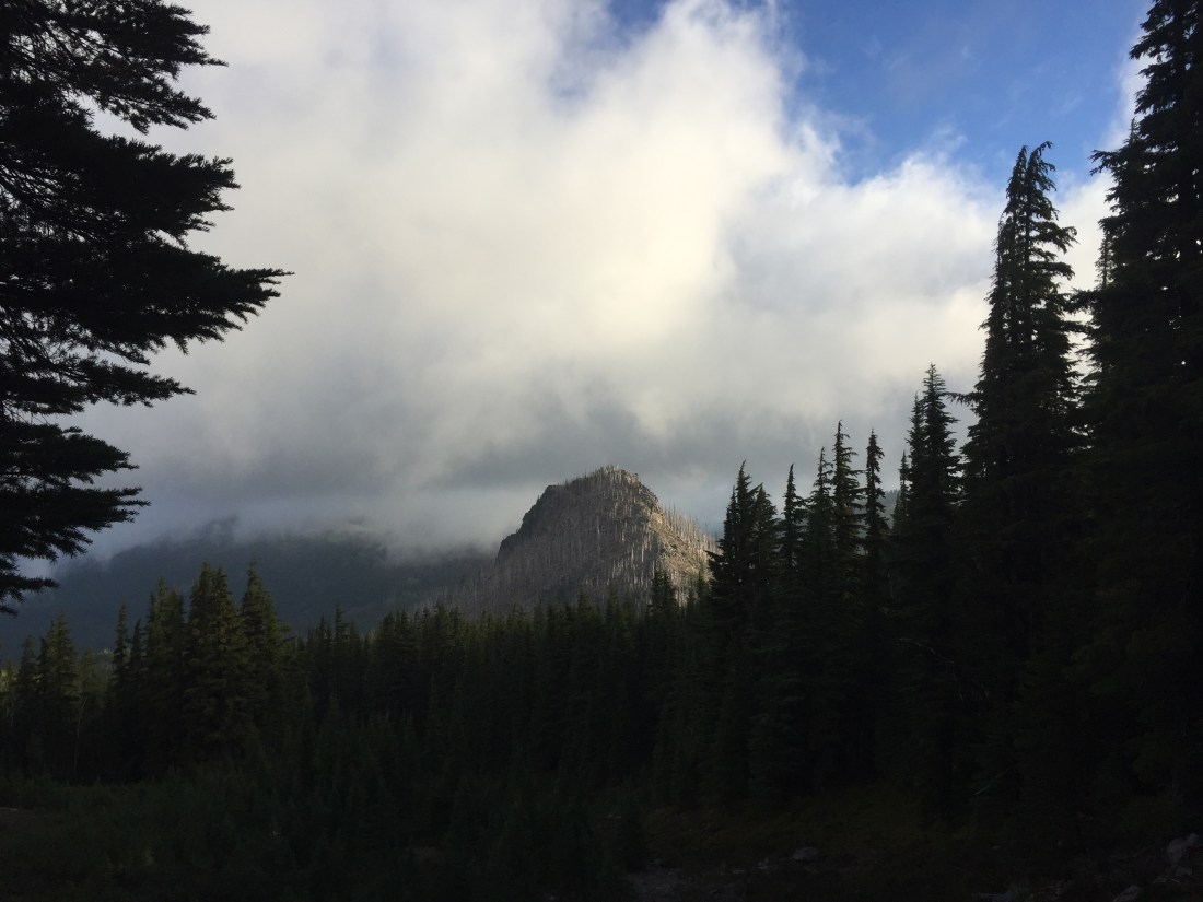 5CA1251C-1413-44F0-BB4C-DAB9D2666FC3