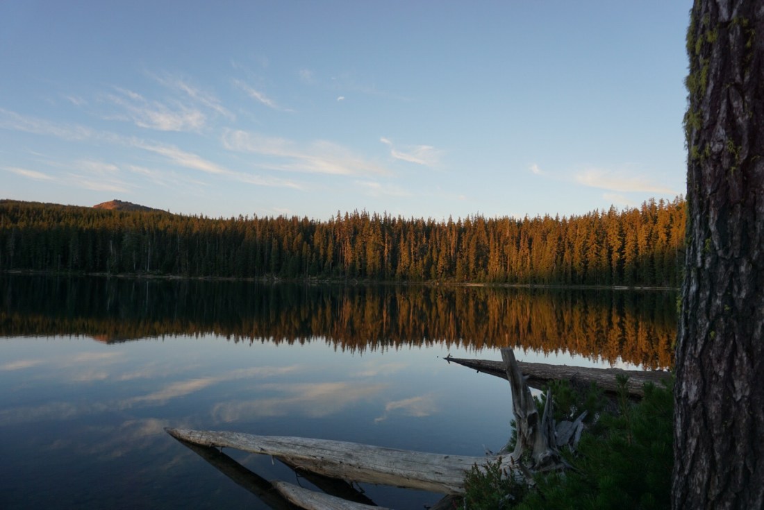 ABD3D593-F208-4FDE-838E-C64C4FECC19C