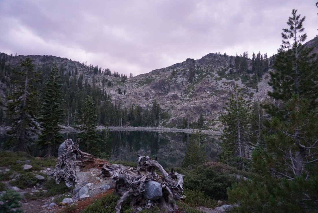 BEBEB044-2FFA-456F-B5C3-CA1C953CCE25