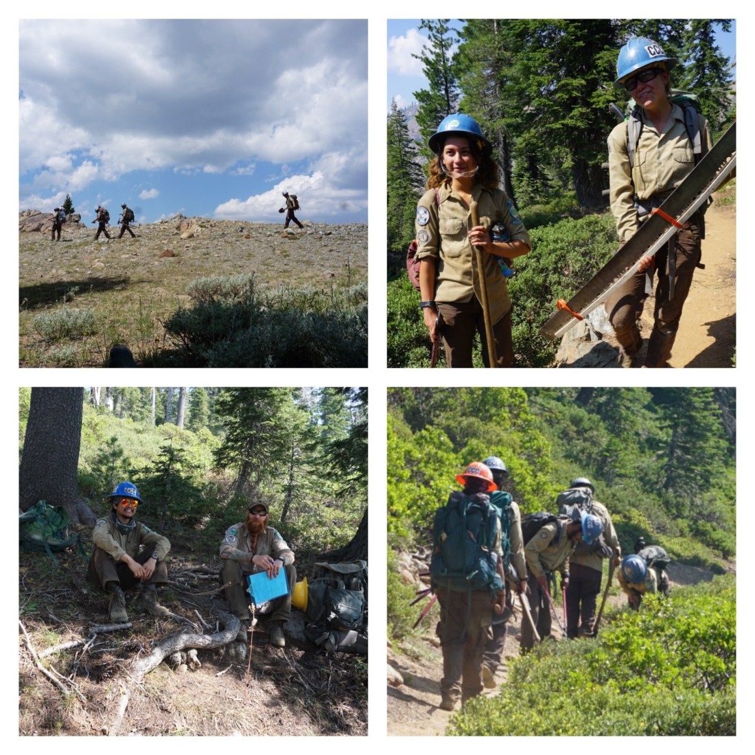 E25573A6-BFA7-48F1-9357-D87BB670833F