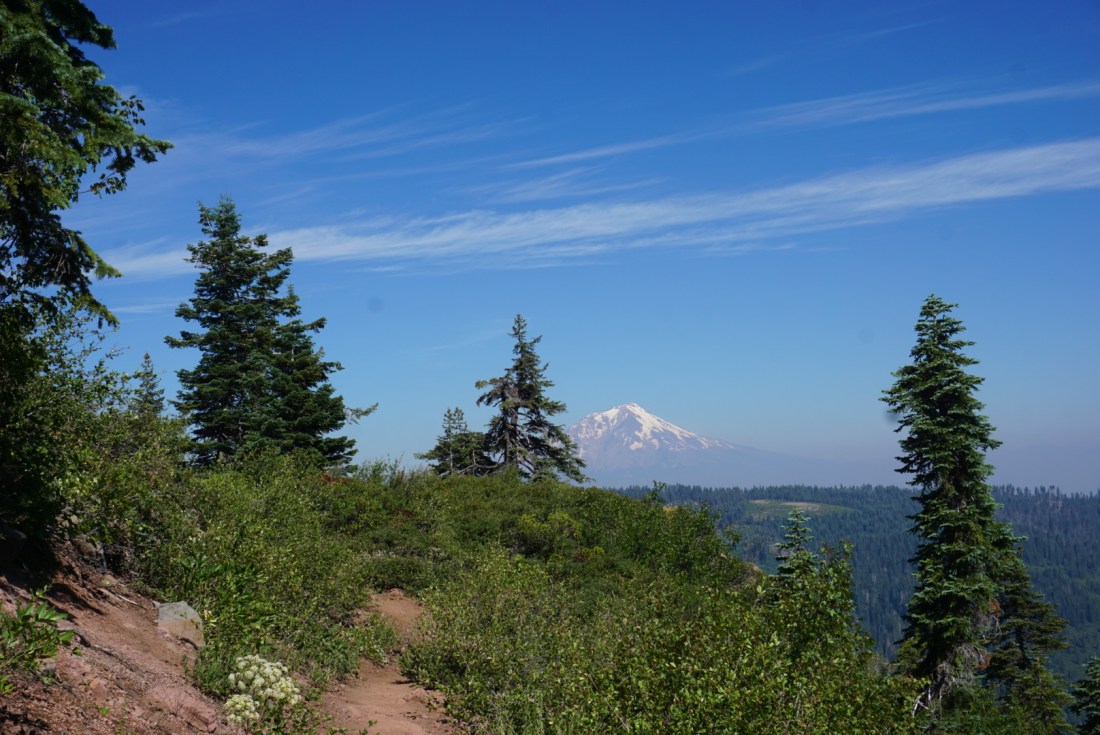 FC06F5B8-054C-4BF5-8C5E-515894C414CB