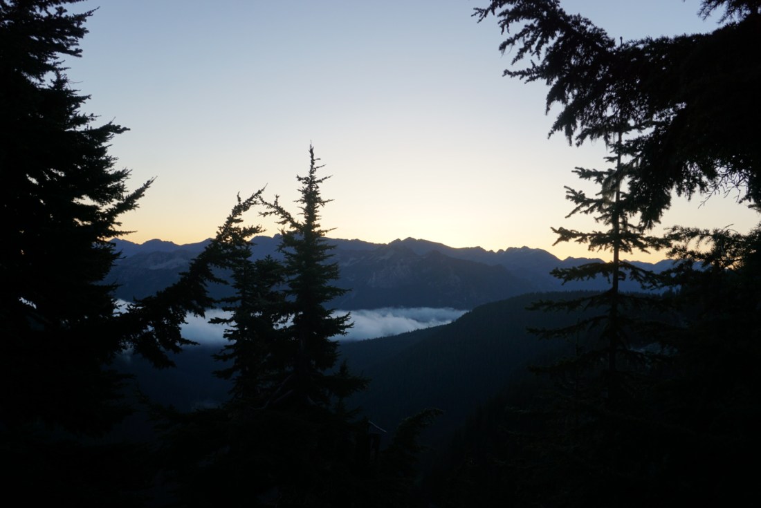 413E459D-BFAD-4001-984D-D60078E37182