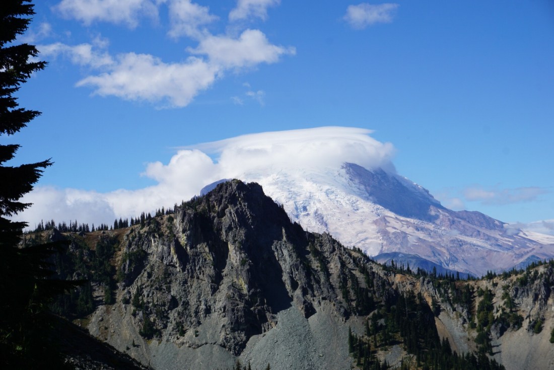 421A564F-AD8E-40F8-AEB0-81FAE3259EFE