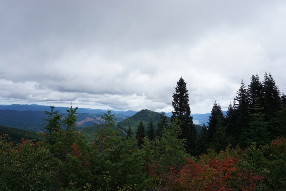 421B2AD7-52DB-4288-9B7C-29D4864E0A10