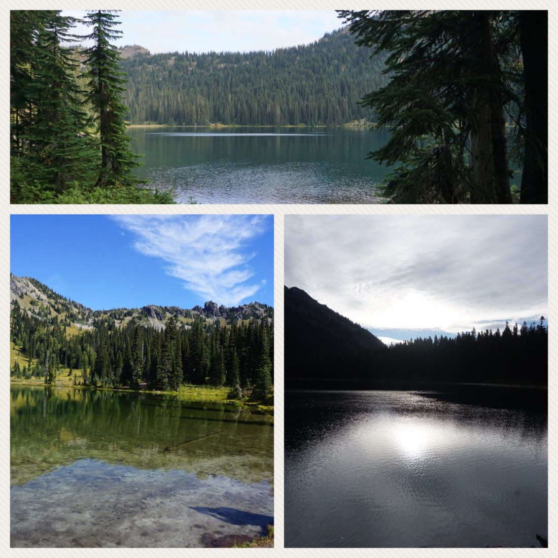 664C0697-46B5-43FF-8639-D85B89D8494A