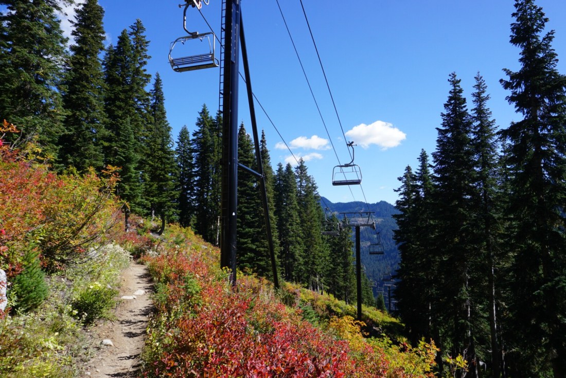 860E31E5-C602-4755-BB5E-4958962F1C4B