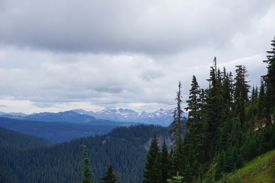 87220522-0A75-4AA1-8577-AA3DA8116905