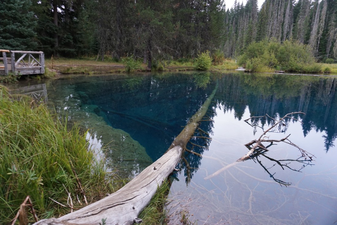 A824F5FF-50E6-4741-9775-B64EE603BC56