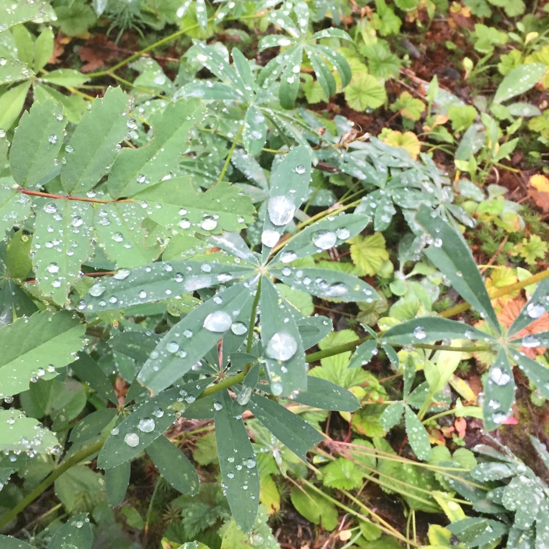 C5A87992-5352-4562-A10B-D19042BCA6A3