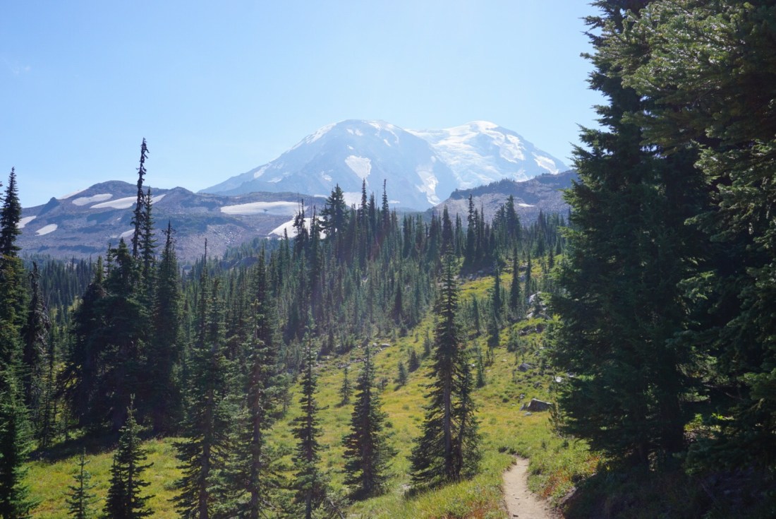 D9A6E2C8-7A2E-4BDE-A8E7-DF624569DC0E