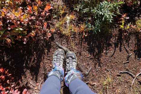 FBBEF7BE-81C1-4A0F-BB36-FF3E3823E982