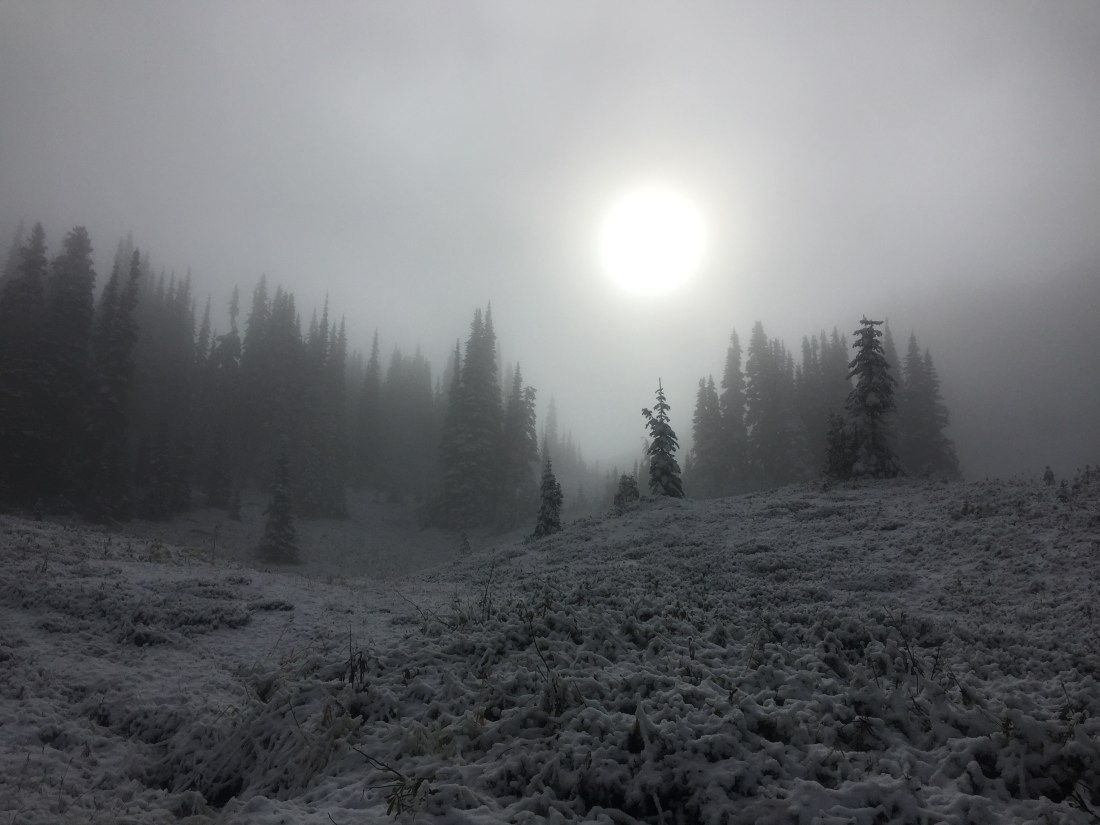 23DA888B-A416-4F00-B282-7627EBB7E48D