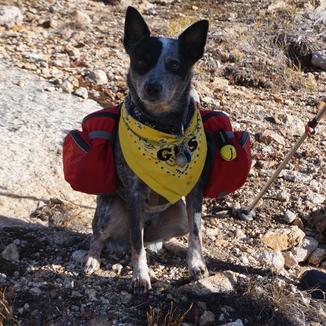 62C77DFE-8B9D-4B86-9FD2-5F39C0F11390