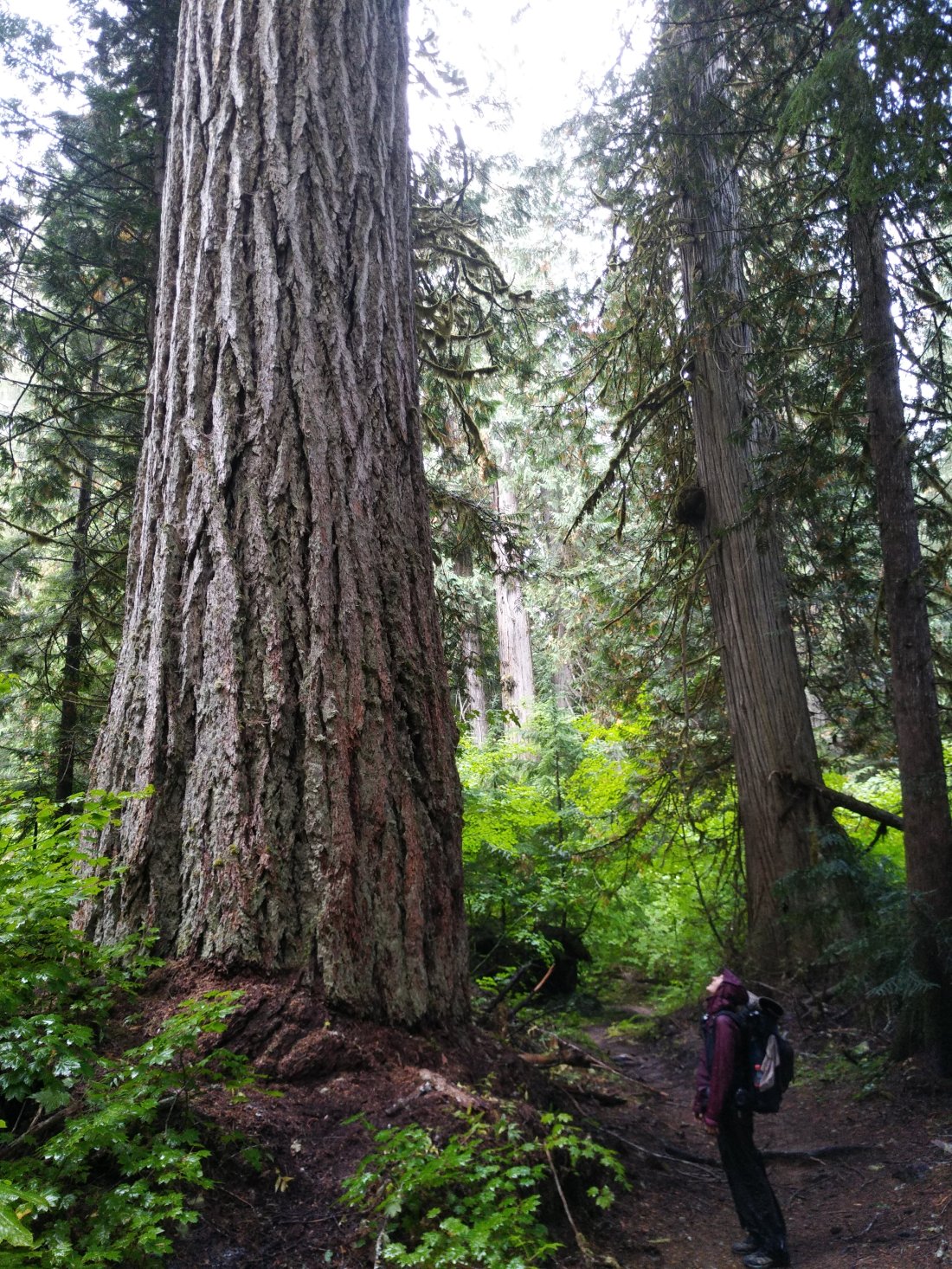 94DD3484-5BDE-45E6-9CE9-AF633880AB48